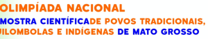 O texto 